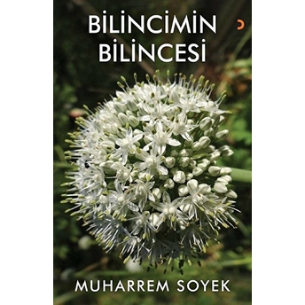 Bilincimin Bilincesi - Muharrem Soyek