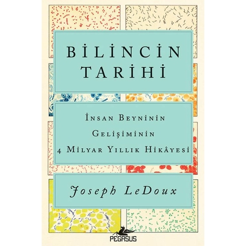 Bilincin Tarihi: Insan Beyninin Gelişiminin 4 Milyar Yıllık Hikayesi Joseph Ledoux