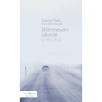 Bilinmeyen Ülkede Yolculuk David Park