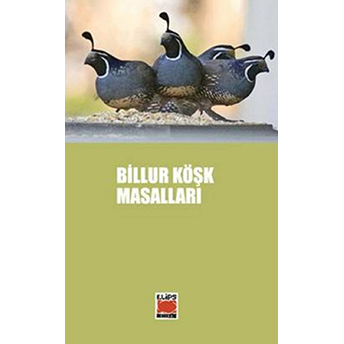 Billur Köşk Masalları Selami Münir Yurdatap