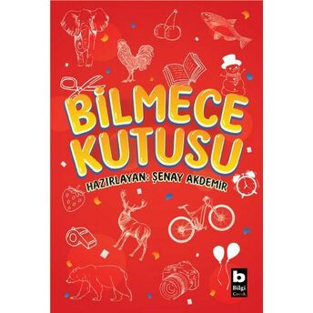 Bilmece Kutusu Şenay Akdemir