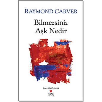 Bilmezsiniz Aşk Nedir Raymond Carver