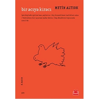 Bir Acıya Kiracı Metin Altıok