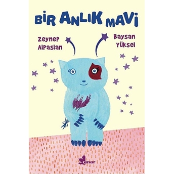 Bir Anlık Mavi Zeynep Alpaslan