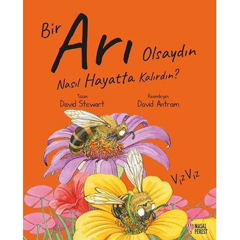 Bir Arı Olsaydın Nasıl Hayatta Kalırdın? David Stewart