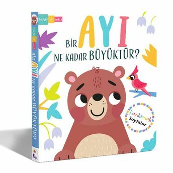 Bir Ayı Ne Kadar Büyüktür? – Kaydır Keşfet Lisa Regan