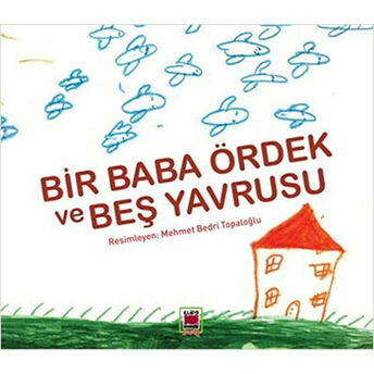 Bir Baba Ördek Ve Beş Yavrusu Semnal Gökmen