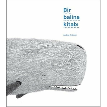 Bir Balina Kitabı Andrea Antinori