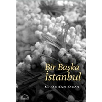 Bir Başka Istanbul M. Orhan Okay