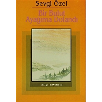 Bir Bulut Ayağıma Dolandı Sevgi Özel