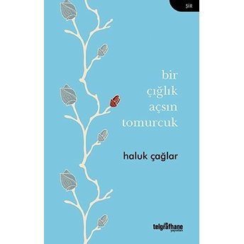 Bir Çığlık Açsın Tomurcuk - Haluk Çağlar