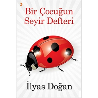 Bir Çocuğun Seyir Defteri