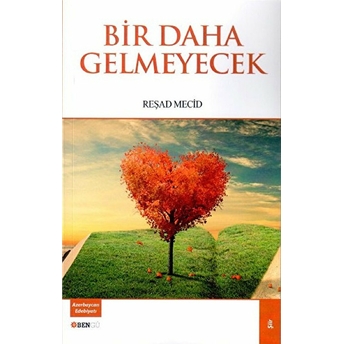 Bir Daha Gelmeyecek