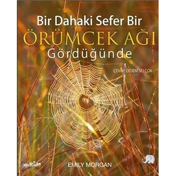 Bir Dahaki Sefer Öğrümcek Ağı Gördüğünde Emily Morgan