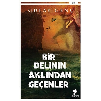 Bir Delinin Aklından Geçenler - Gülay Genç - Gülay Genç