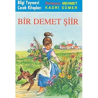 Bir Demet Şiir Mehmet Kadri Sümer