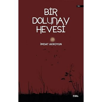 Bir Dolunay Hevesi - Imdat Akkoyun