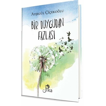 Bir Duygudan Fazlası Ayşegül Çiçekoğlu