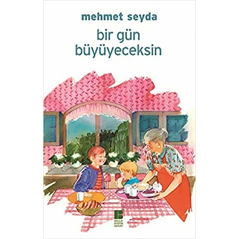 Bir Gün Büyüyeceksin Mehmet Seyda