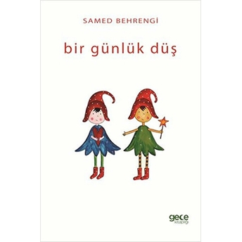 Bir Günlük Düş