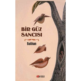 Bir Güz Sancısı