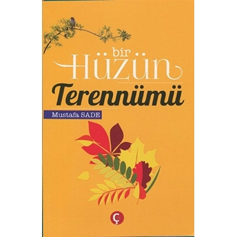 Bir Hüzün Terennümü