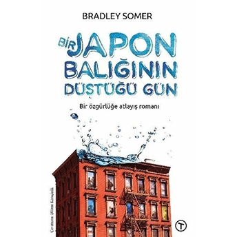 Bir Japon Balığının Düştüğü Gün Bradley Somer