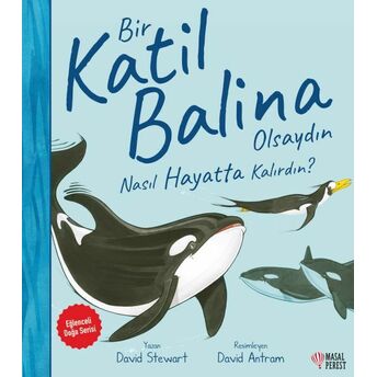 Bir Katil Balina Olsaydın Nasıl Hayatta Kalırdın? David Stewart