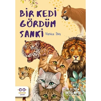 Bir Kedi Gördüm Sanki Hatice Ibiş