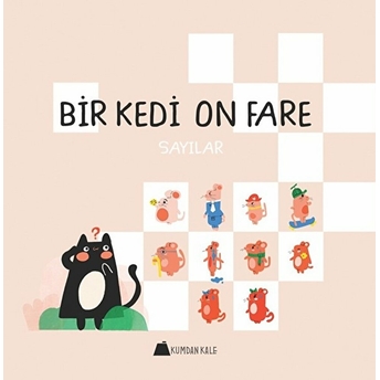 Bir Kedi On Fare - Sayılar Duygu Yardımcı