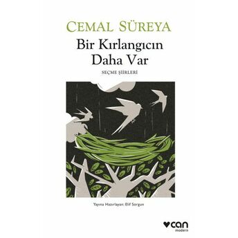 Bir Kırlangıcın Daha Var Cemal Süreya