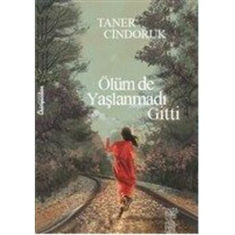 Bir Kitap Tebessüm Hikmet Gülay