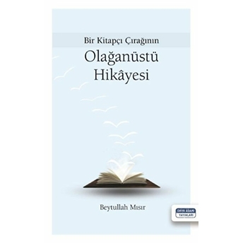 Bir Kitapçı Çırağının Olağanüstü Hikayesi - Beytullah Mısır