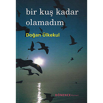 Bir Kuş Kadar Olamadım-Doğan Ülkekul