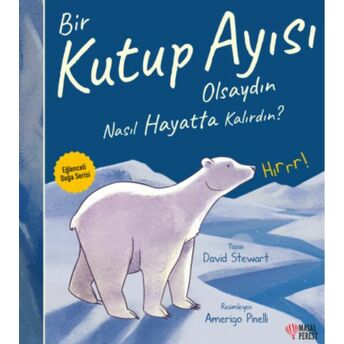 Bir Kutup Ayısı Olsaydın Nasıl Hayatta Kalırdın? David Stewart