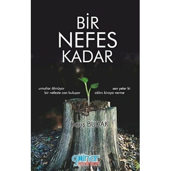 Bir Nefes Kadar - Barış Budak