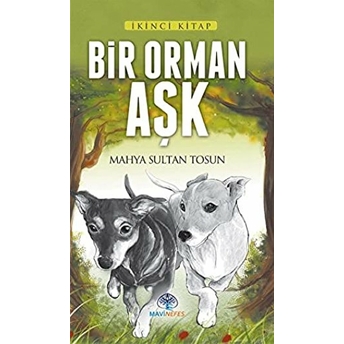 Bir Orman Aşk Mahya Sultan Tosun