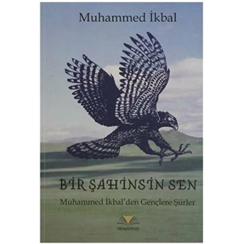 Bir Şahinsin Sen Muhammed Ikbal'den Gençlere Şiirler Muhammed Ikbal