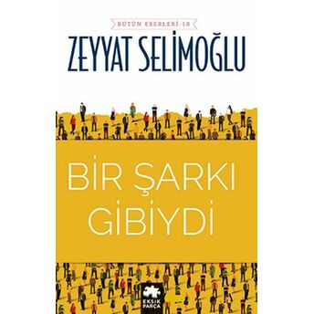 Bir Şarkı Gibiydi Zeyyat Selimoğlu