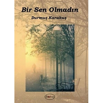 Bir Sen Olmadın  - Durmuş Karakuş