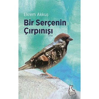 Bir Serçenin Çırpınışı - Ekrem Akkuş