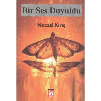 Bir Ses Duyuldu Necati Kırış