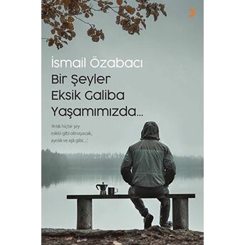 Bir Şeyler Eksik Galiba Yaşamımızda Ismail Özabacı