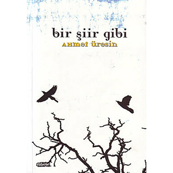 Bir Şiir Gibi Ahmet Üresin