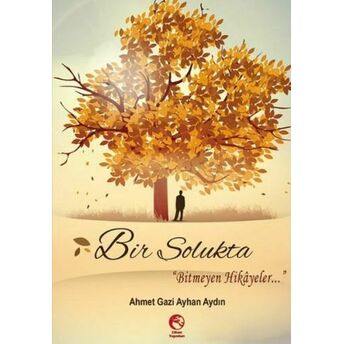 Bir Solukta Ahmet Gazi Ayhan Aydın