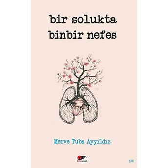 Bir Solukta Binbir Nefes  - Merve Tuba Ayyıldız