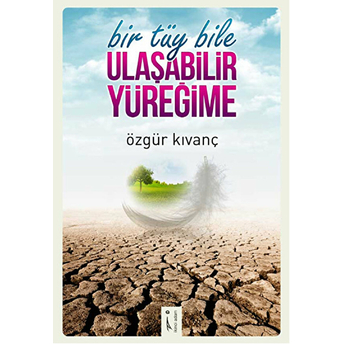 Bir Tüy Bile Ulaşabilir Yüreğime