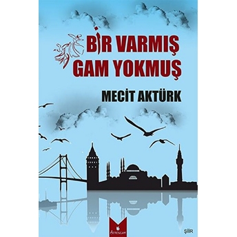 Bir Varmış Gam Yokmuş Mecit Aktürk