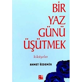 Bir Yaz Günü Üşütmek Ahmet Özdemir