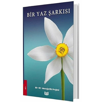 Bir Yaz Şarkısı Kolektif